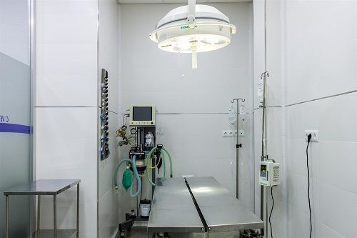 Clínica Veterinaria Alhaurín de La Torre lugar de cirugía veterinaria